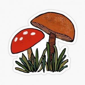 polka dot mushroom bars